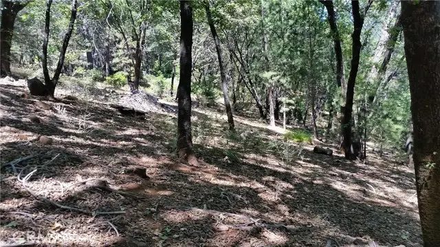 0 Adrian Drive, Magalia, CA 95954 - #2