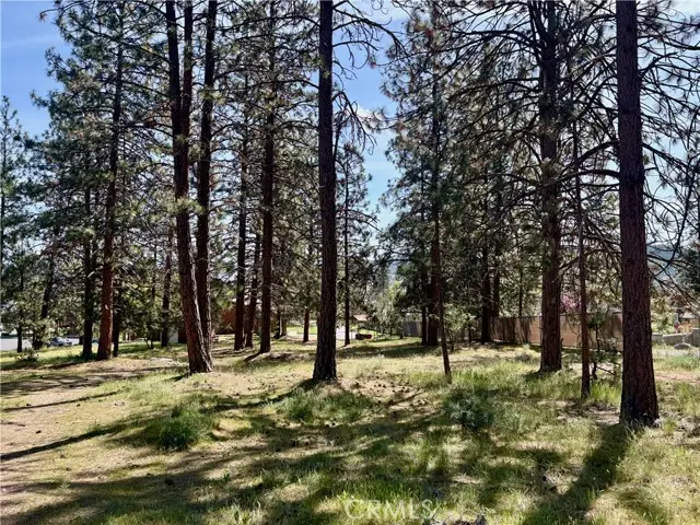 0 s Lang Way, Yreka, CA 96097 - #2