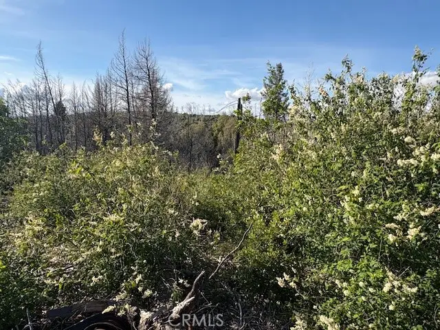 0 Bald Rock Road, Berry Creek, CA 95916 - #3