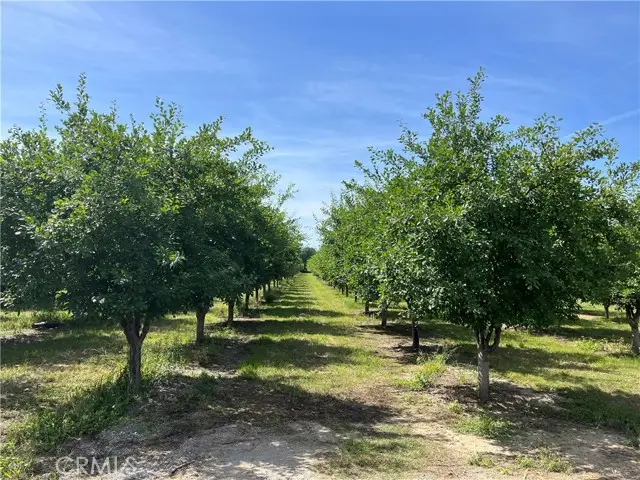 25333 Connecticut Avenue, Corning, CA 96021 - #3