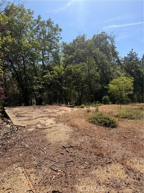 13457 Achilles Court, Magalia, CA 95954 - #3