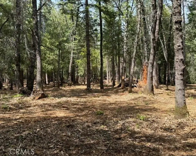 0 Platt Mountain Road, Forest Ranch, CA 95942 - #2