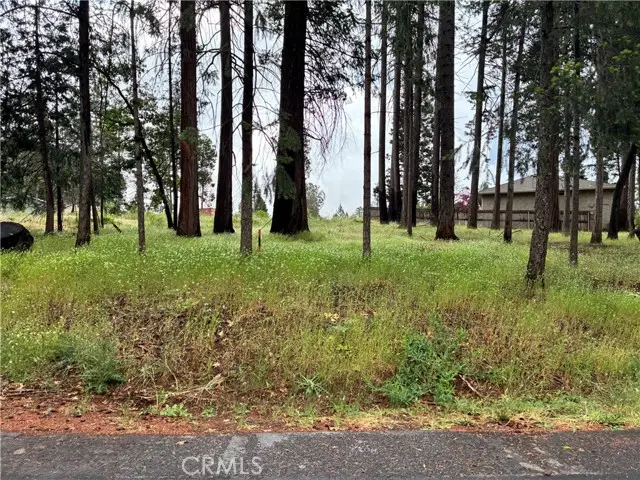 0 Pineland Circle, Magalia, CA 95954 - #1