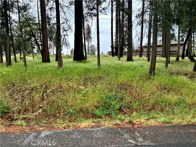 0 Pineland Circle, Magalia, CA 95954 - #2