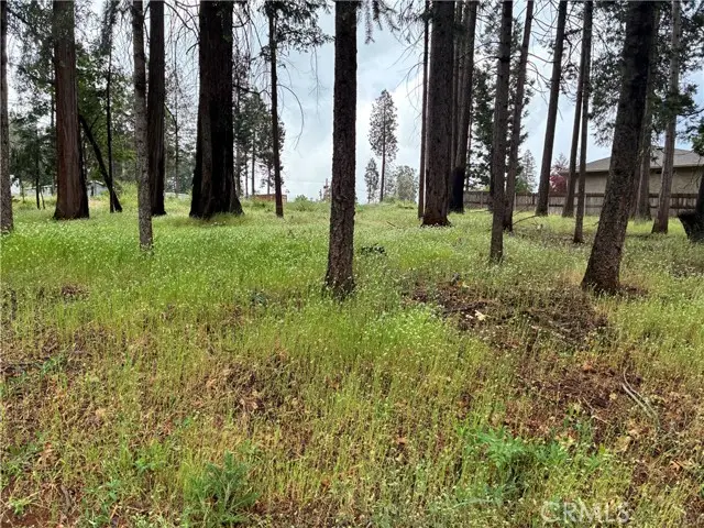 0 Pineland Circle, Magalia, CA 95954 - #3