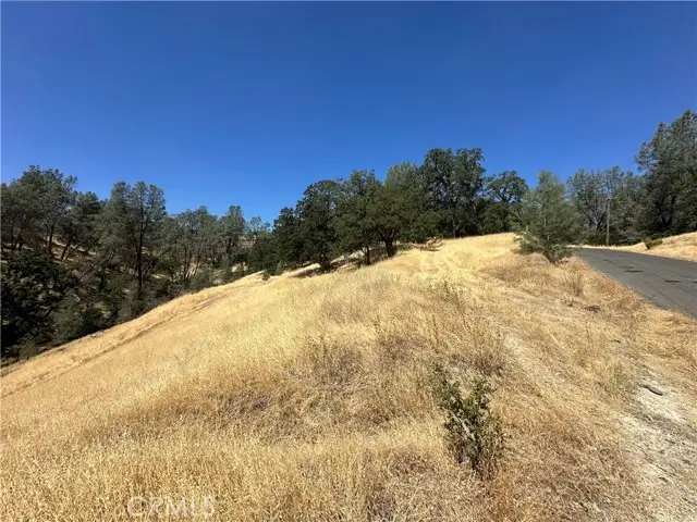 16275 Oakridge Road, Corning, CA 96021 - #2