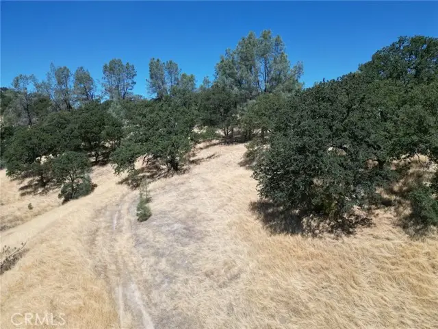 16275 Oakridge Road, Corning, CA 96021 - #3