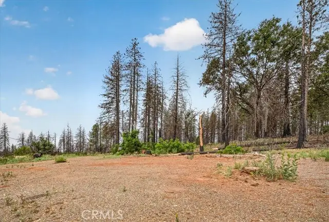 9627 Cohasset, Chico, CA 95973 - #2