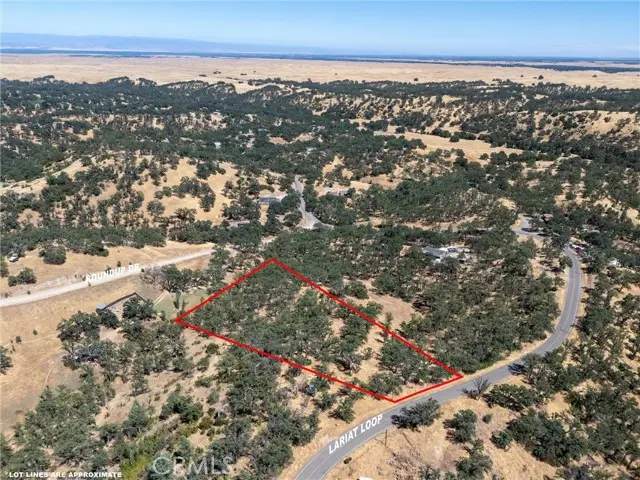 16398 Lariat, Corning, CA 96021 - #3