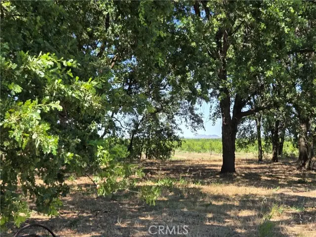 0 N. B STREET, Corning, CA 96021 - #1