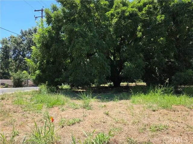 0 N. 2ND, Tehama, CA 96090 - #1