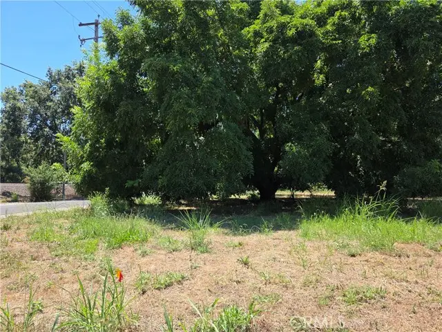 0 N. 4TH STREET, Tehama, CA 96090 - #2