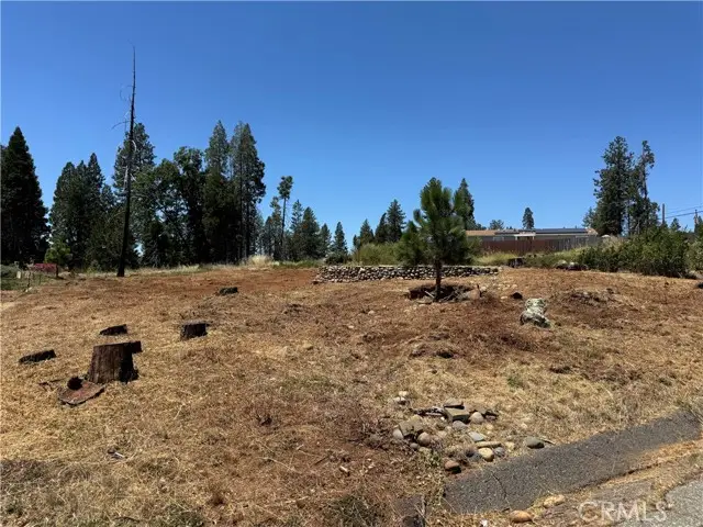 13779 Park, Magalia, CA 95954 - #2