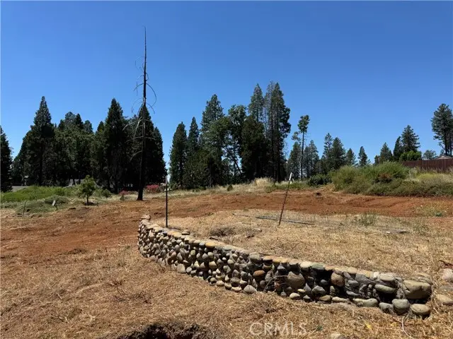 13779 Park, Magalia, CA 95954 - #3