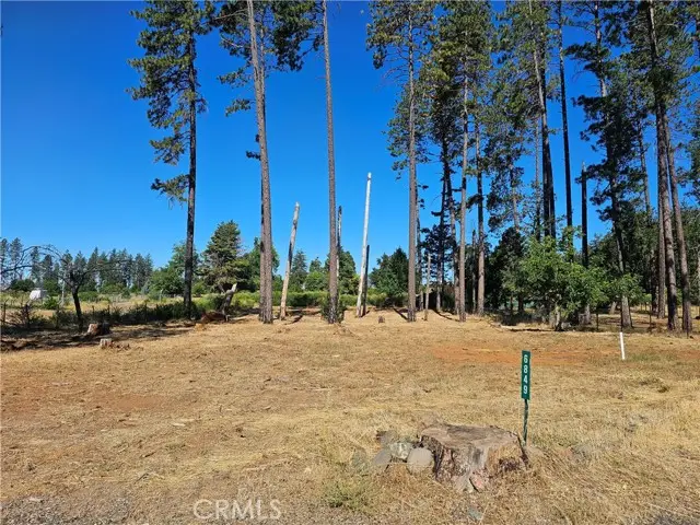 6849 Clark Rd Road, Paradise, CA 95969 - #1