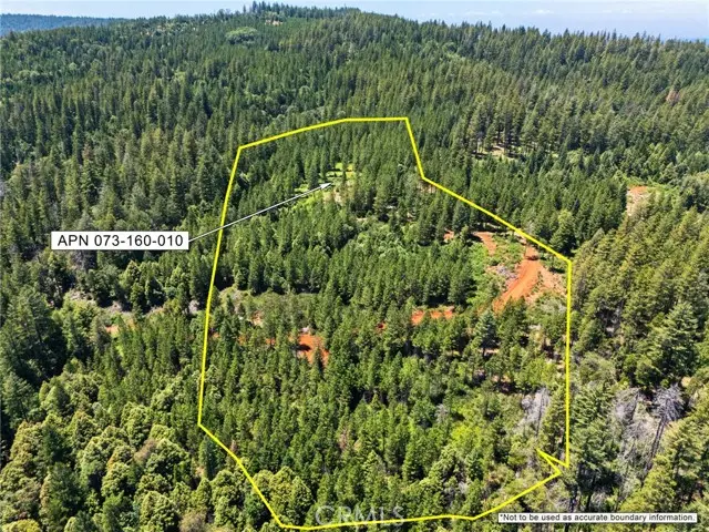 0 Old Forbestown Road, Forbestown, CA 95941 - #3