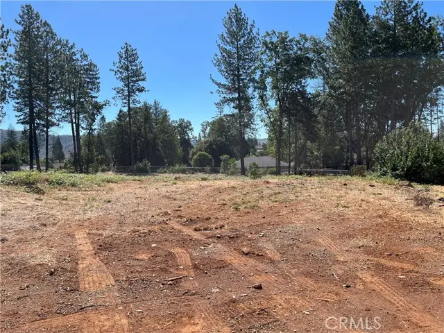 9238 Skyway Road, Paradise, CA 95969 - #3