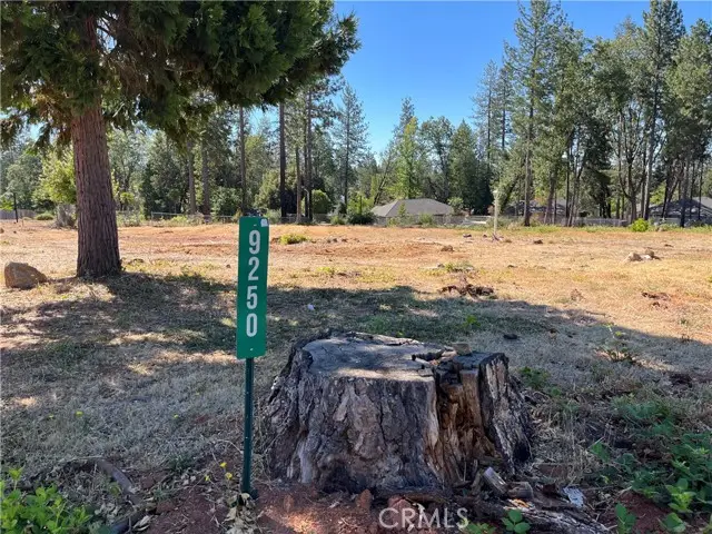 9250 Skyway Road, Paradise, CA 95969 - #1