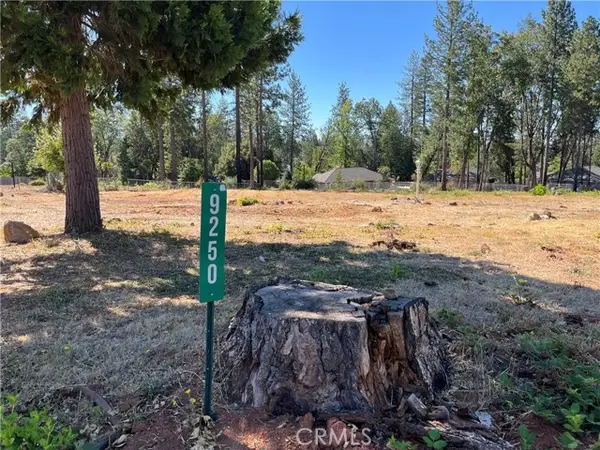 9250 Skyway Road, Paradise, CA 95969