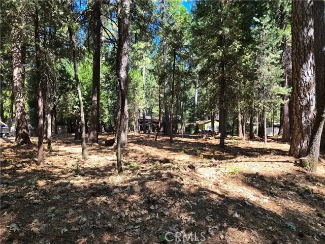 0 Tikker Ln, Magalia, CA 95954 - #1