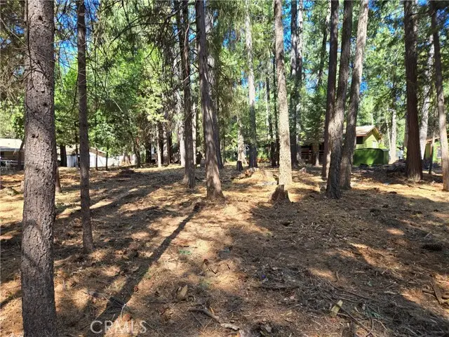 0 Tikker Ln, Magalia, CA 95954 - #3