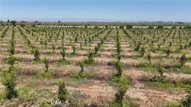 0 Loleta, Corning, CA 96021 - #2