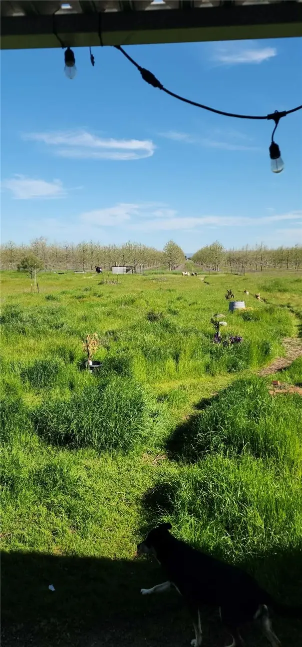 4713 Kilkare, Chico, CA 95973 - #3