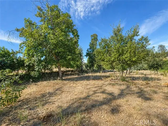 5465 Foster, Paradise, CA 95969 - #1