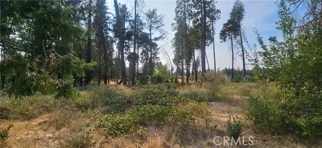 13901 Park, Magalia, CA 95954 - #2