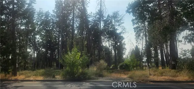 13901 Park, Magalia, CA 95954 - #3