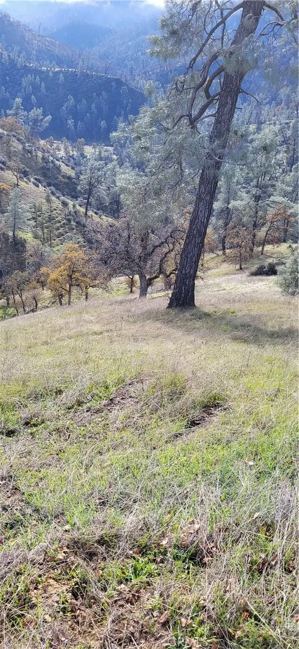 0 Cottonwood Creek, Igo, CA 96047