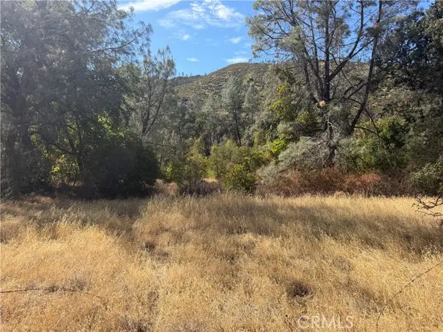 0 Goat Mountain Road, Stonyford, CA 95979 - #1