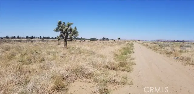 25 Avenue L4, Palmdale, CA 93552 - #2