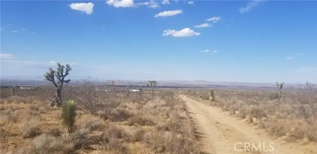 0 Vac/175 Ste/Vic Ft Tejon Road, Llano, CA 93544 - #1