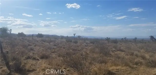 0 Vac/175 Ste/Vic Ft Tejon Road, Llano, CA 93544 - #3