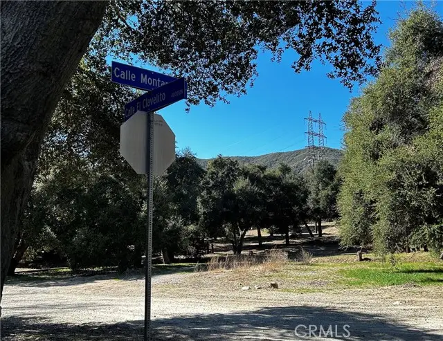 0 Calle El Clavelito/3227016011, Santa Clarita, CA 91390 - #3