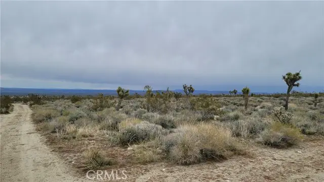 0 202nd St E & Ave X4, Llano, CA 93544 - #2