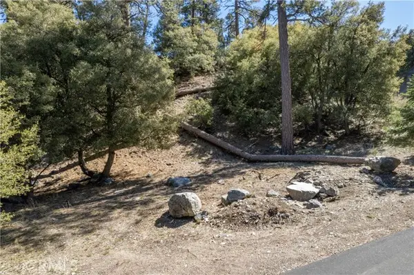 1300 Banff Drive, PINE MOUNTAIN CLUB, CA 93222