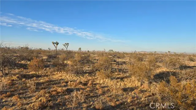 0 Avenue U4 & 257th St E, Llano, CA 93544 - #1