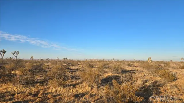 0 Avenue U4 & 257th St E, Llano, CA 93544 - #2