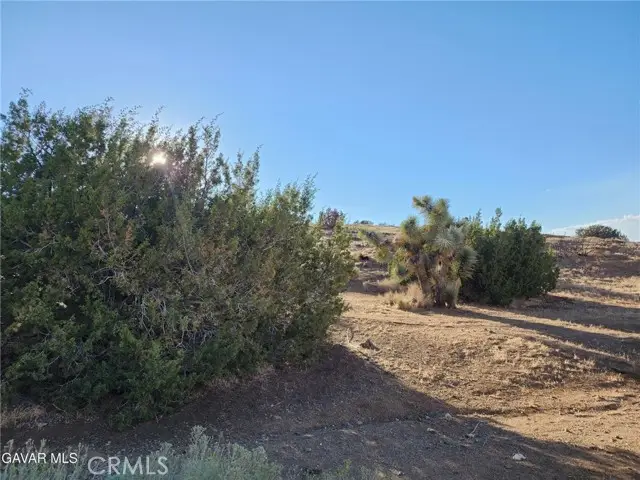 0 Vac/Vic Ave L8/55th Street, Lake Hughes, CA 93532 - #2
