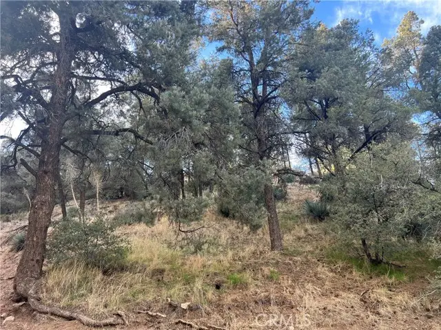 0 Encino and Truman, Frazier Park, CA 93225 - #2
