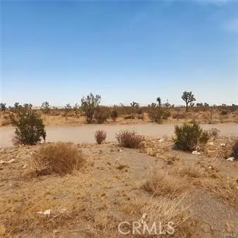 1595 La Mesa Road, Pinon Hills, CA 92372