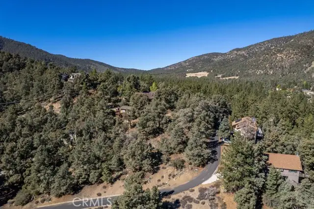 16524 Oakwood Court, Pine Mountain Club, CA 93222 - #2