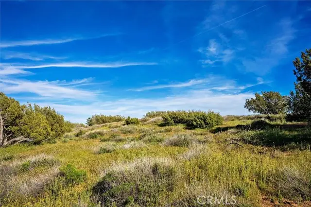 48725 Shallow Springs Road, Palmdale, CA 93551 - #2