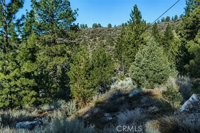 15113 Chestnut Drive, Pine Mountain Club, CA 93222 - #2