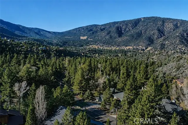 15113 Chestnut Drive, Pine Mountain Club, CA 93222 - #3