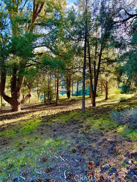 2604 Tirol, Frazier Park, CA 93225 - #1