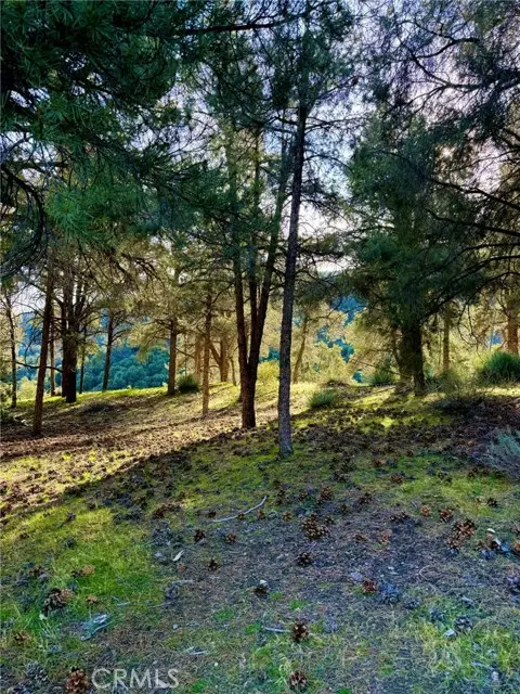 2604 Tirol, Frazier Park, CA 93225 - #2