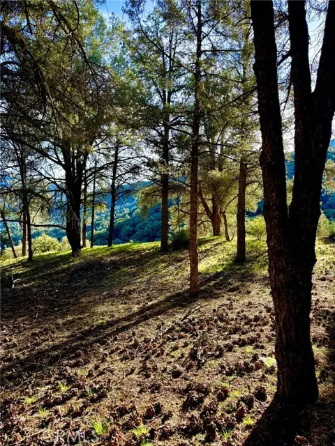 2604 Tirol, Frazier Park, CA 93225 - #3